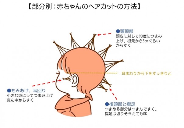 部分別：赤ちゃんのヘアカットの方法