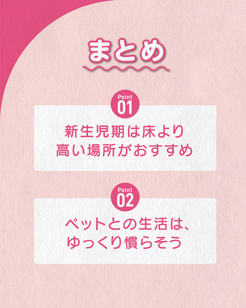 今回の体験談をまとめると、 ①新生児期は床より高い場所がおすすめ ②ペットとの生活は、ゆっくり慣らそう