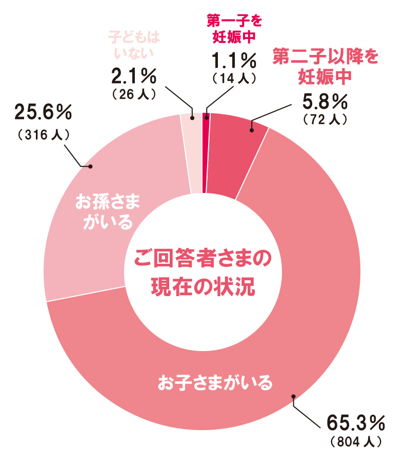 【OK】現在の状況円グラフ③-2