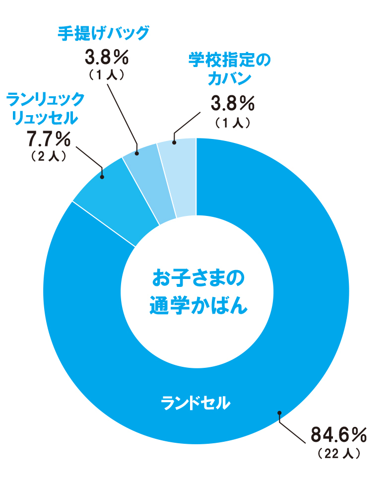 ★【通学かばん】円グラフ⑫